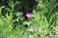 img_4354
