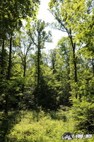 img_4379