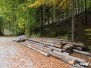 Ja, es herbstlt schon ... (22.10.2015)