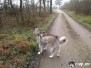 Spazierrunde beim Reuhof