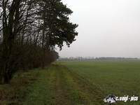 dsc00097