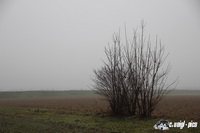 img_8909