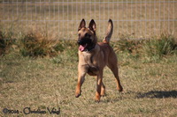 img_1119