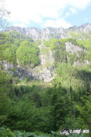 img_8477