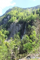 IMG_8551