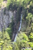 IMG_8552
