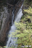 IMG_8556