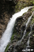IMG_8570