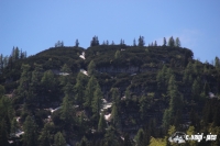 IMG_8610