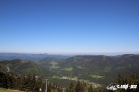 IMG_8645