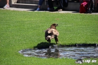 IMG_0200