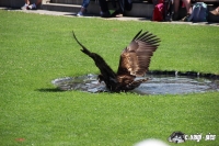 IMG_0211