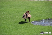 IMG_0217