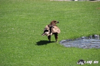 IMG_0218