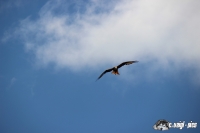 IMG_0413