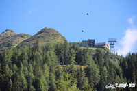 img_0910