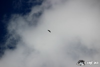 img_0465