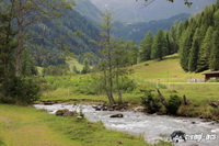 img_1167