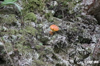 img_1168