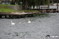 img_0611