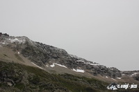 img_0780