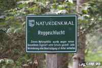 img_0670