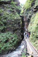 img_0681