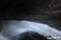 img_0690