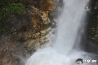 IMG_0741