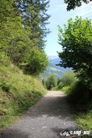 IMG_0758