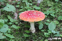 img_9629