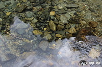 img_9675