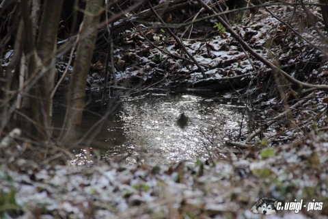 Wasser, Seen & Flüsse