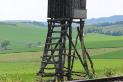 img_3842
