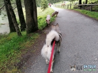IMG_20200725_135651