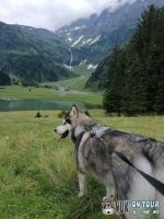 IMG_20200725_140907