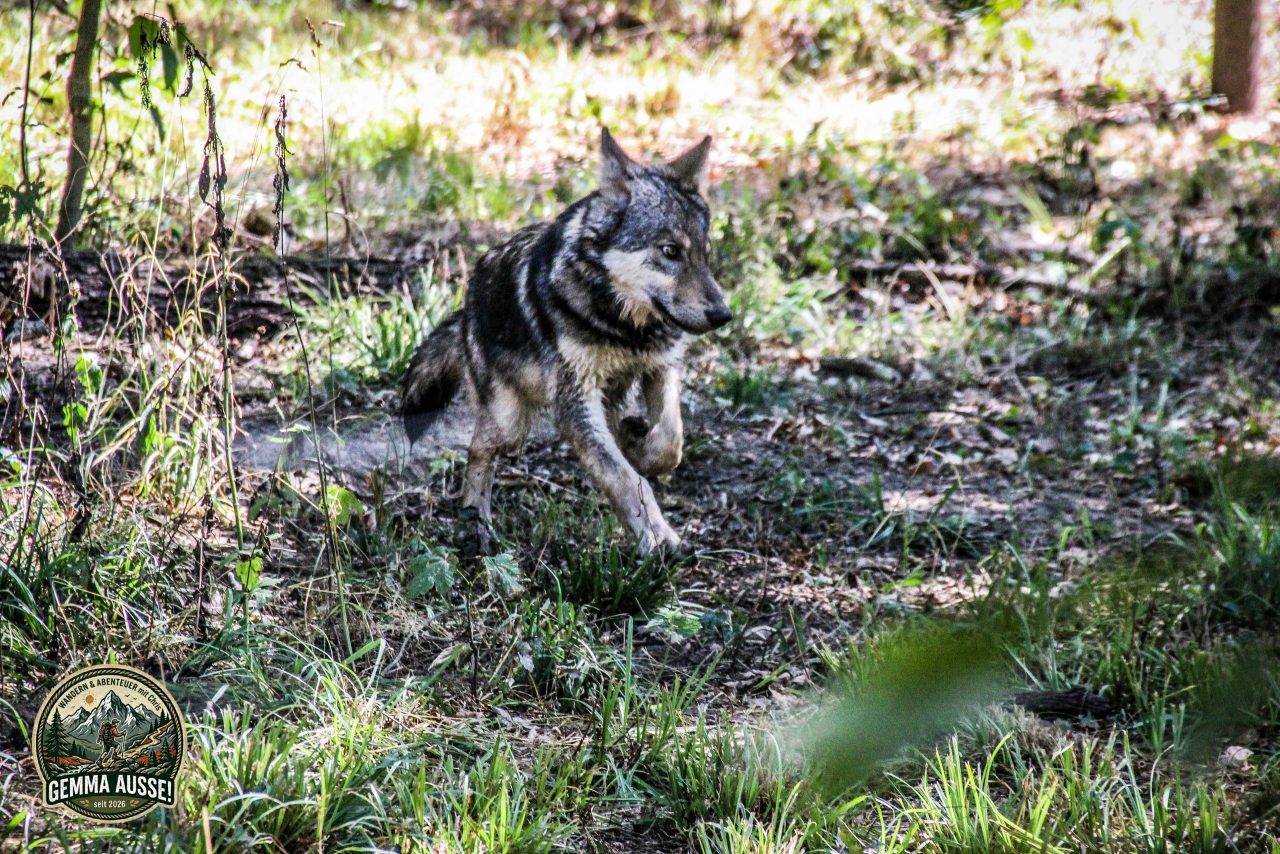 Watermark_25IMG_1026