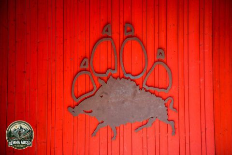 Ausflug in den Wildtierpark und das WSC Ernstbrunn (23.08.2026)