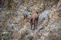 Watermark_11IMG_1011