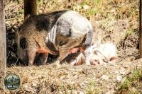 Watermark_14IMG_1014
