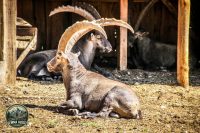 Watermark_15IMG_1016