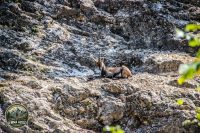 Watermark_16IMG_1017