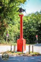 Watermark_1IMG_1001
