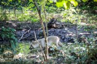 Watermark_20IMG_1021