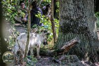 Watermark_23IMG_1024