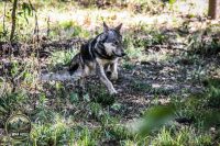 Watermark_25IMG_1026