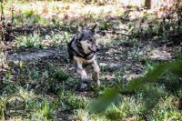 Watermark_26IMG_1027