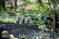 Watermark_29IMG_1030