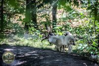 Watermark_30IMG_1031