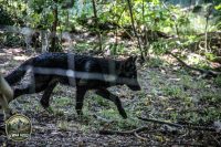 Watermark_34IMG_1035